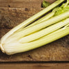 1000 GOLDEN Self-BLANCHING CELERY aka Burpee's or Dwarf Golden Apium Graveolens Dulce Vegetable Seeds