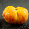 50 OAXACAN JEWEL TOMATO Bicolor Golden Yellow Striped Red Mexican Lycopersicon Vegetable Seeds