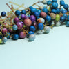 10 Variegated PORCELAIN BERRY VINE Ampelopsis Brevipedunculata Elegans Ampelopsis Glandulosa Amur Peppervine Blue Pink Purple Berries Seeds