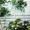 2 Pack 71" x 19.7" Metal Garden Trellis Rustproof Trellis for Climbing Plants Outdoor Flower Support Wrought Iron Ivy Vine Cucumbers Decorative(Green)