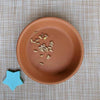 Echinacea Seeds – photo 2