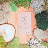 Eucalyptus Polyanthemos 'Silver Plate' Seeds – photo 5