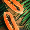 Papaya 'Dwarf Red Lady' (Carica papaya)