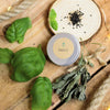 Grow a Basil Plant Seed Kit – photo 4