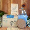 Grow a Bird of Paradise Plant Seed Kit – photo 2