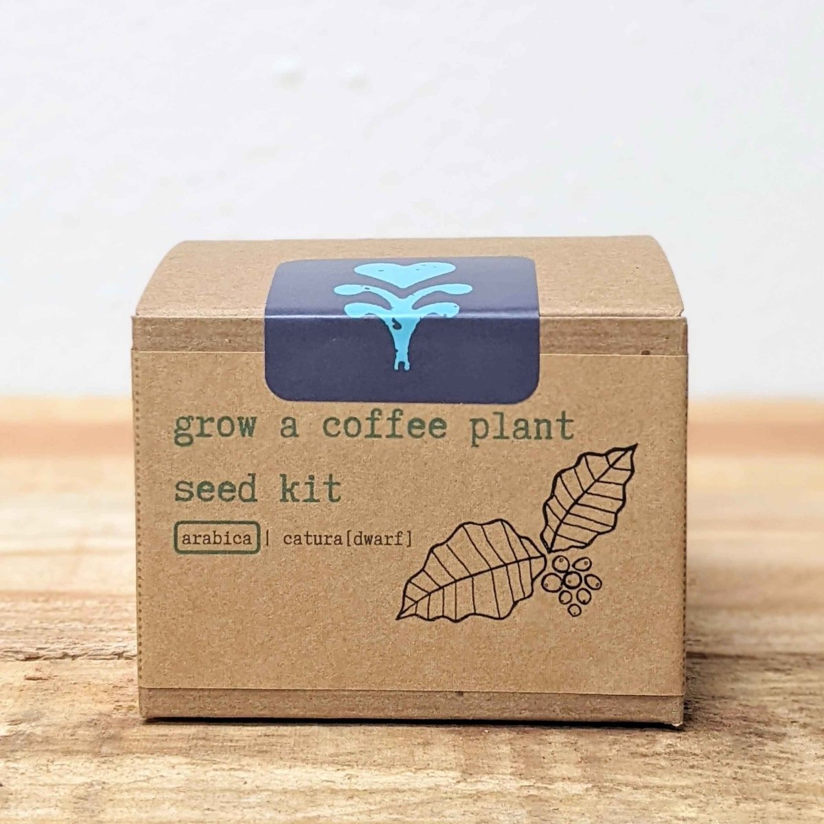 Grow a Coffee Plant Seed Kit – photo 8