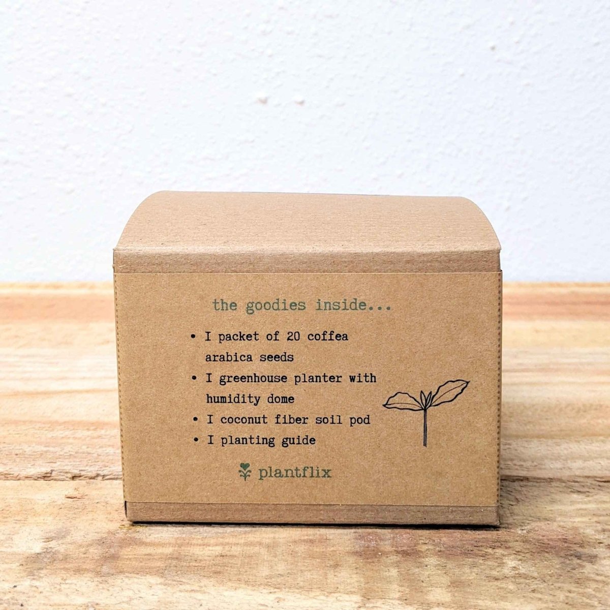 Grow a Coffee Plant Seed Kit – photo 6