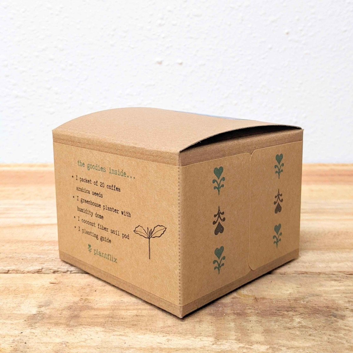 Grow a Coffee Plant Seed Kit – photo 5