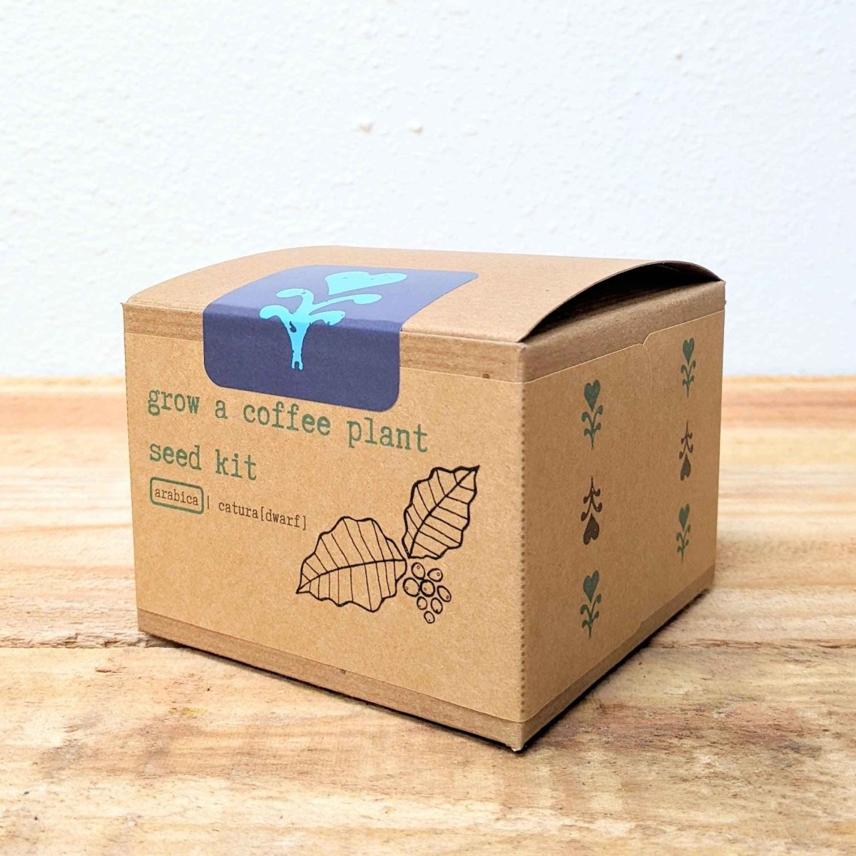 Grow a Coffee Plant Seed Kit – photo 4