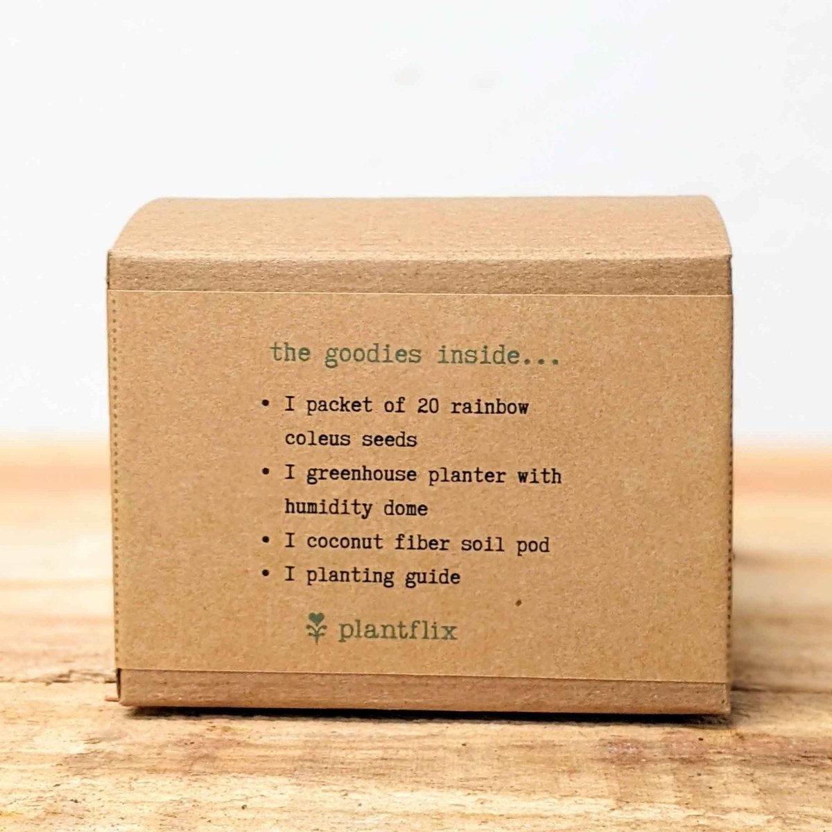 Grow a Coleus Seed Kit – photo 12