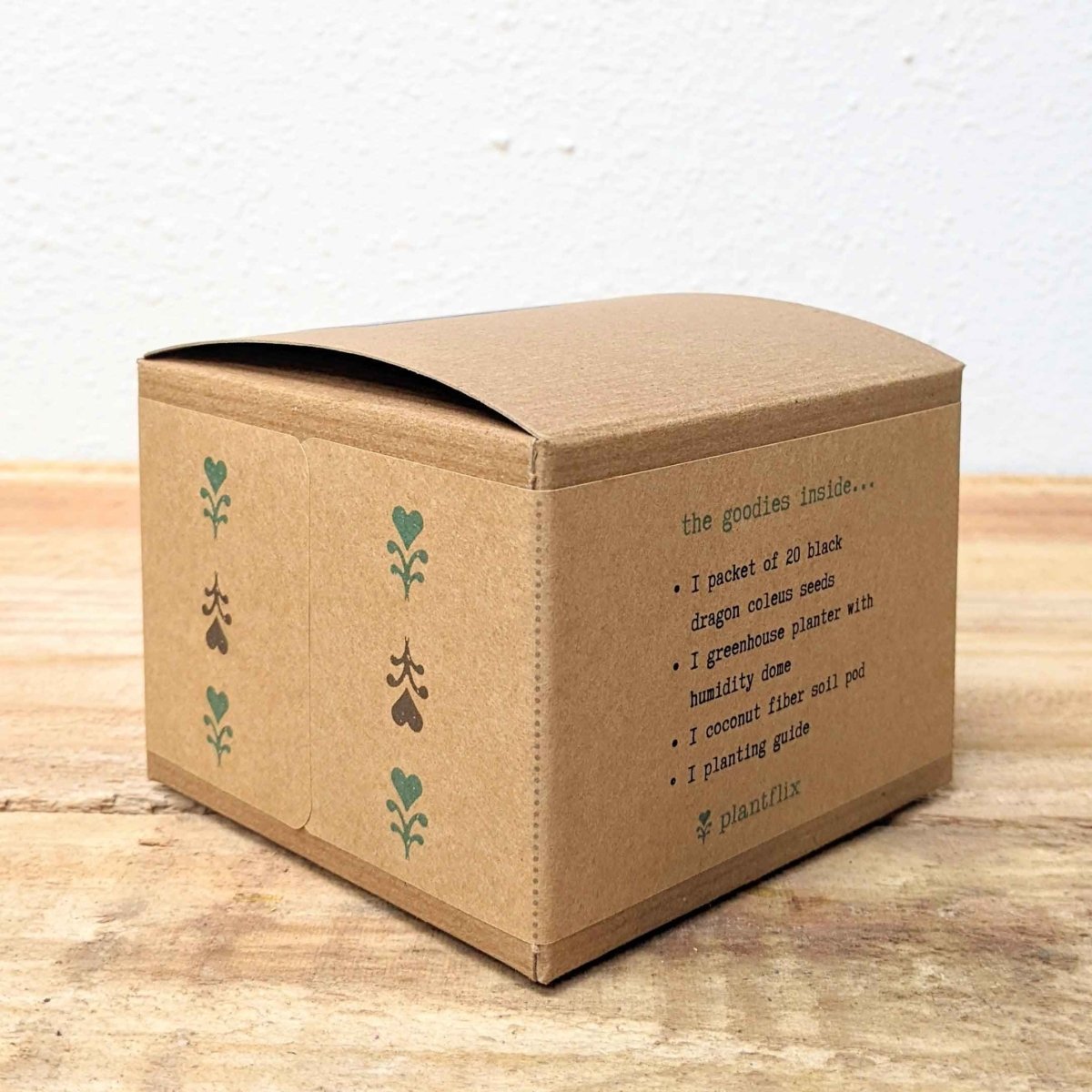 Grow a Coleus Seed Kit – photo 17