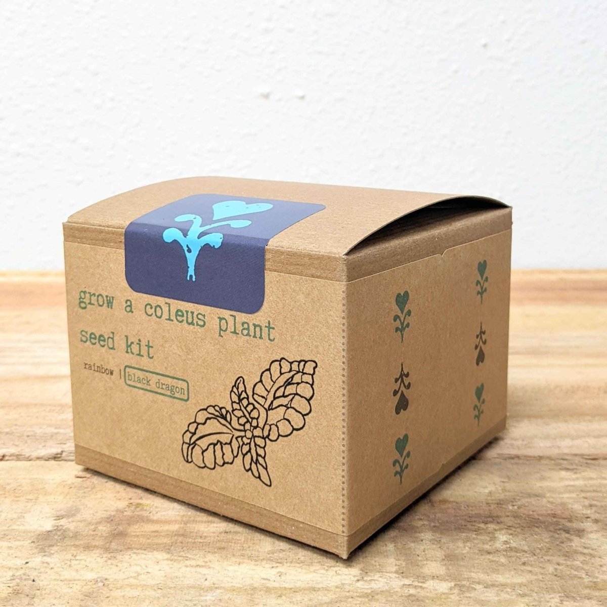 Grow a Coleus Seed Kit – photo 14