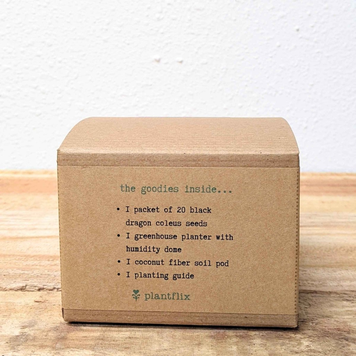Grow a Coleus Seed Kit – photo 16