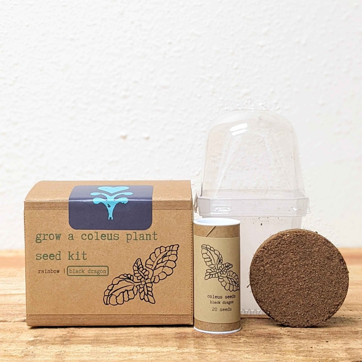 Grow a Coleus Seed Kit – photo 4