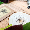 Grow a Coleus Seed Kit – photo 6
