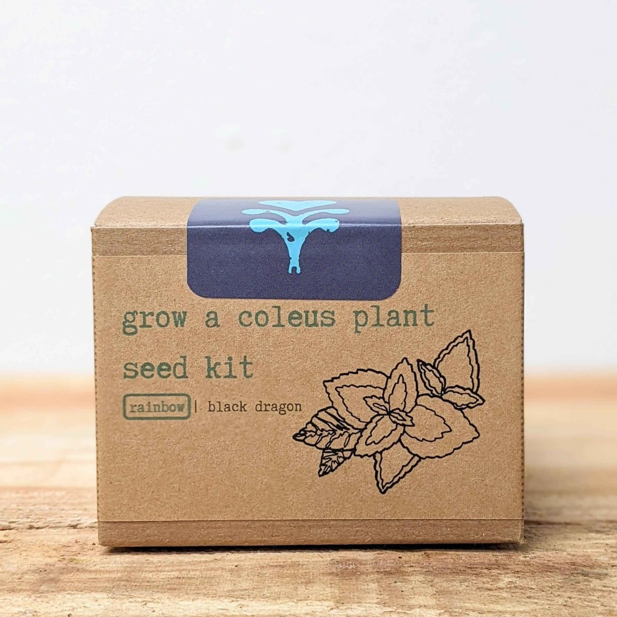 Grow a Coleus Seed Kit – photo 9