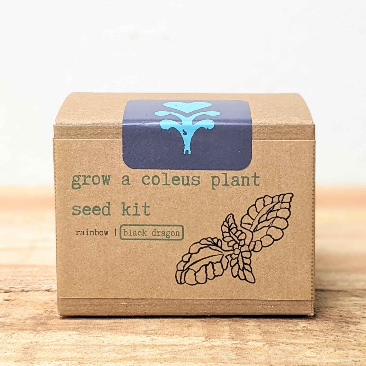 Grow a Coleus Seed Kit – photo 13