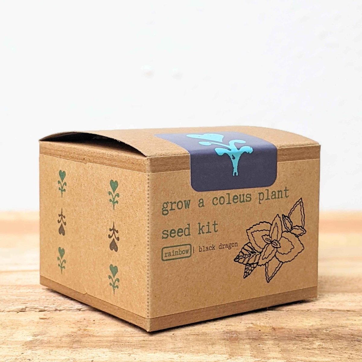 Grow a Coleus Seed Kit – photo 11