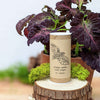 Grow a Coleus Seed Kit