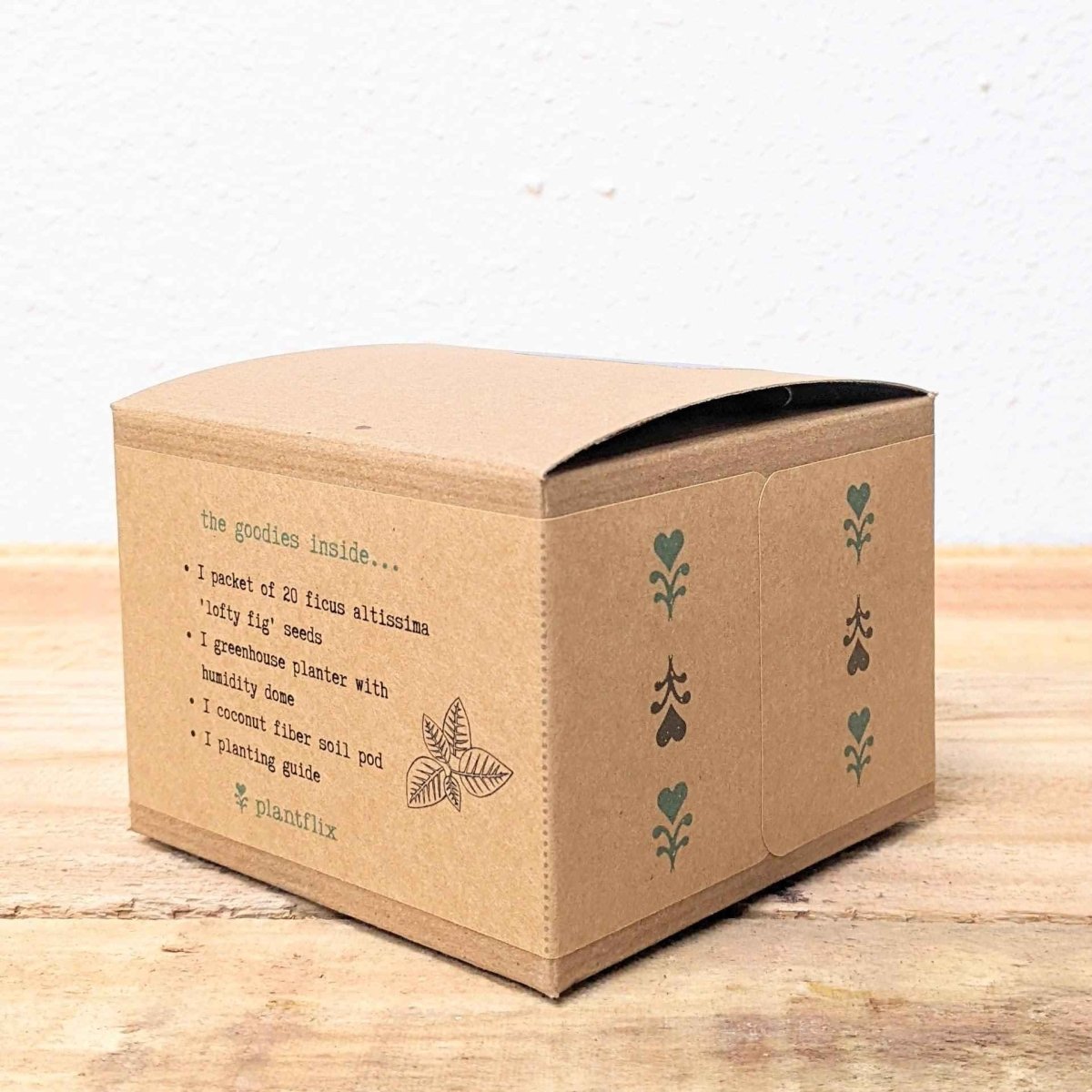 Grow a Ficus Altissima Seed Kit – photo 9