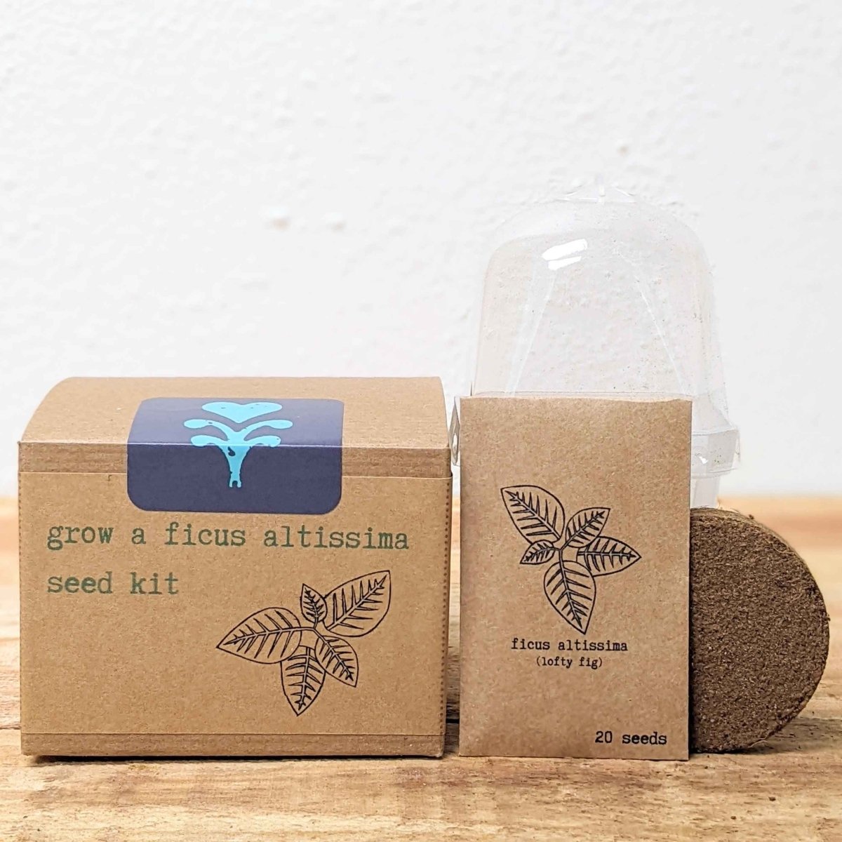 Grow a Ficus Altissima Seed Kit – photo 3