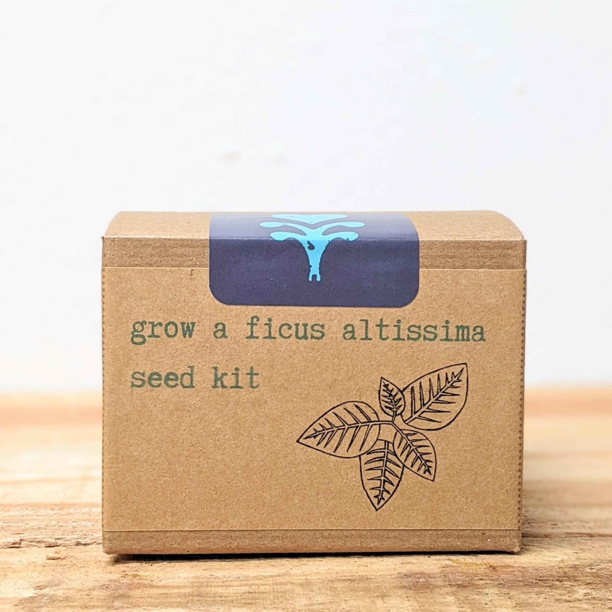 Grow a Ficus Altissima Seed Kit – photo 7