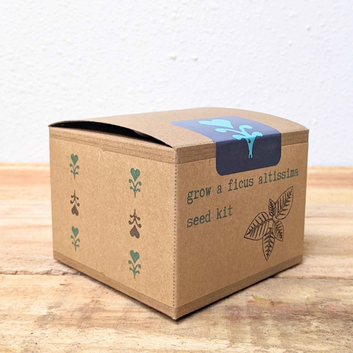 Grow a Ficus Altissima Seed Kit – photo 10