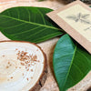Grow a Ficus Altissima Seed Kit – photo 6