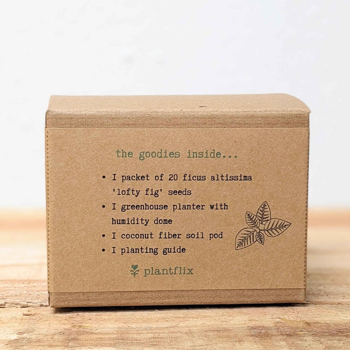 Grow a Ficus Altissima Seed Kit – photo 8