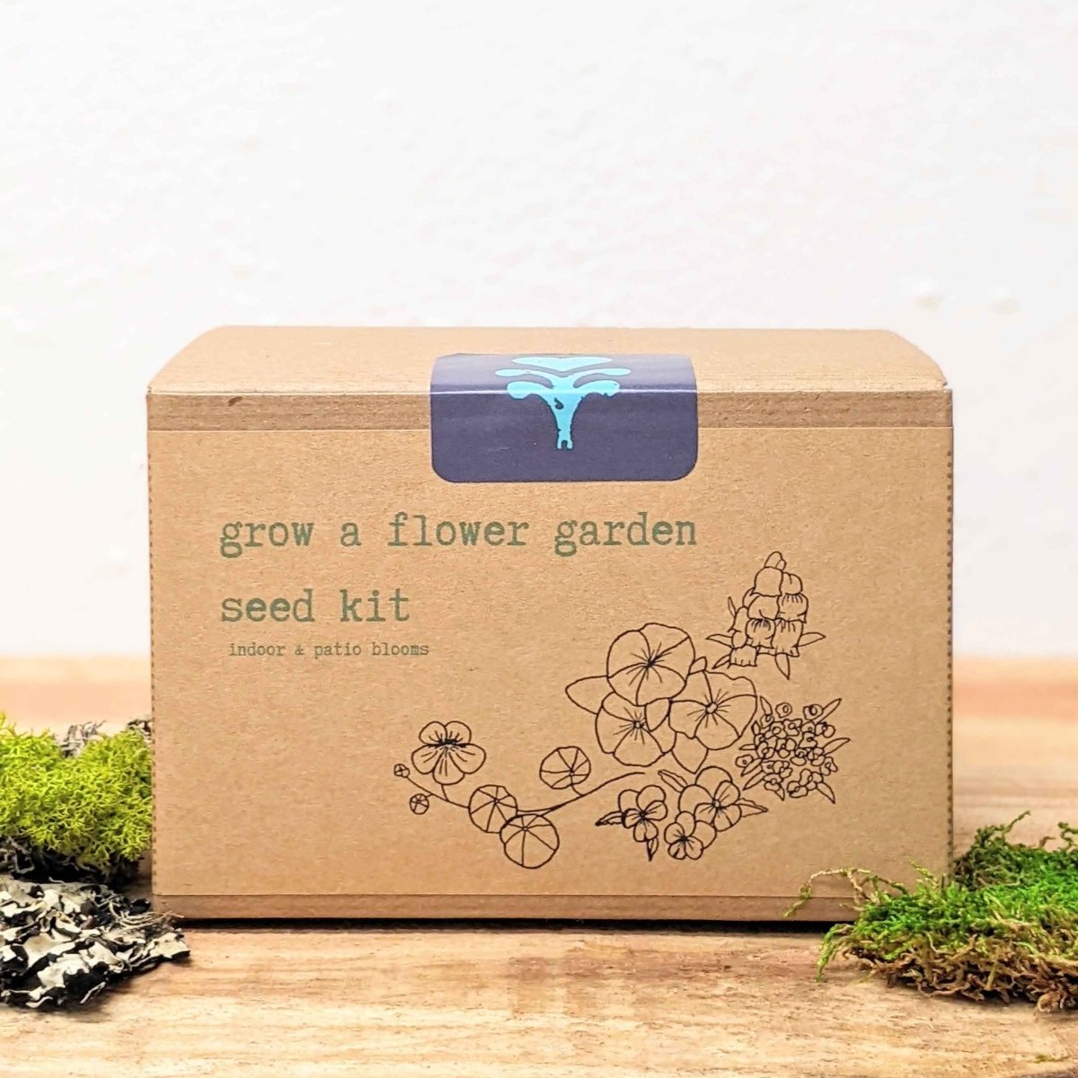 "Grow a Flower Garden" Indoor Blooms Seed Kit – photo 6