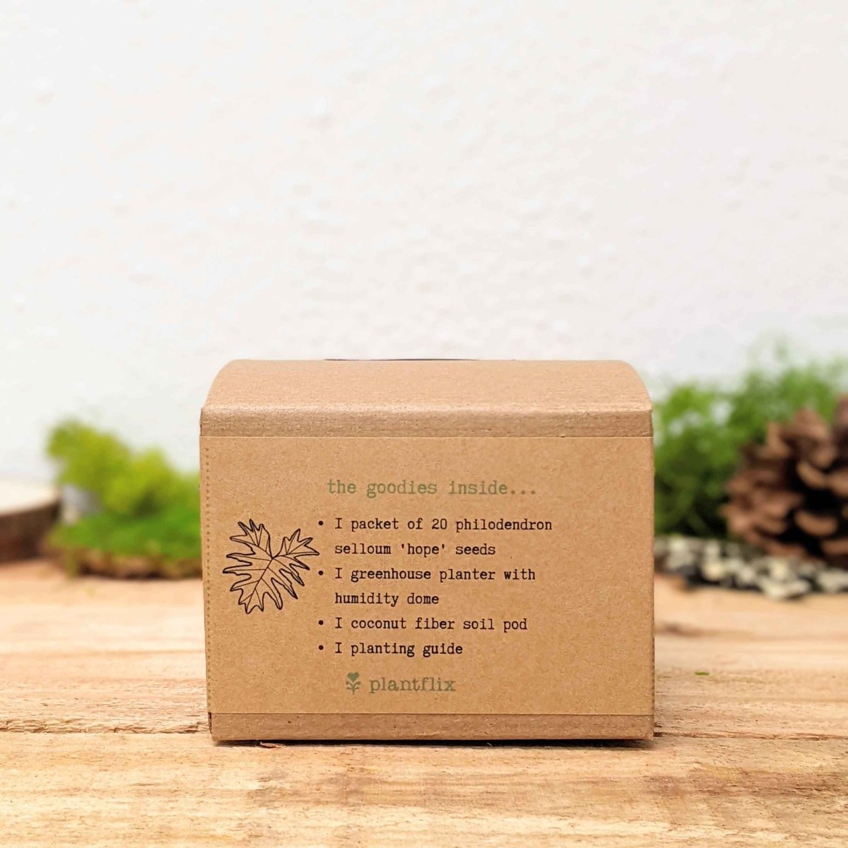 Grow a Philodendron Seed Kit – photo 5