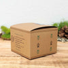 Grow a Philodendron Seed Kit – photo 4