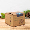 Grow a Philodendron Seed Kit – photo 3