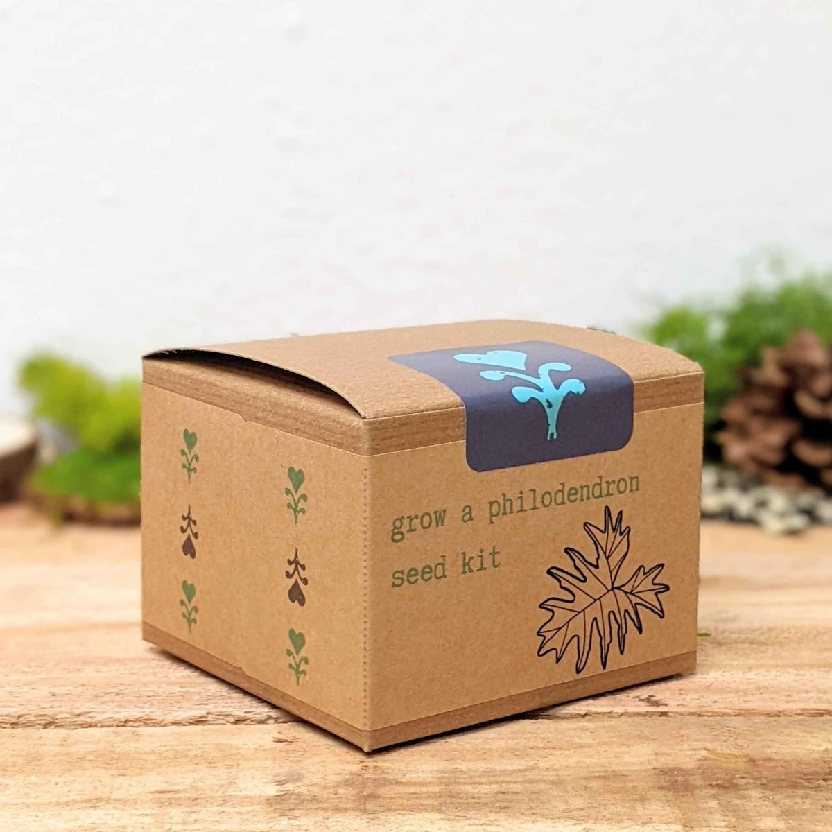 Grow a Philodendron Seed Kit – photo 3