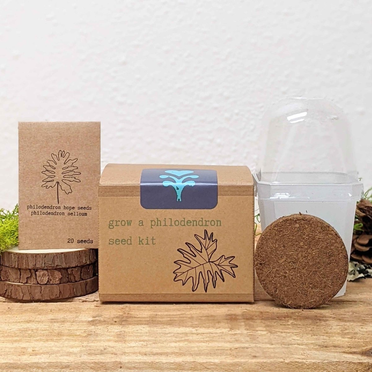 Grow a Philodendron Seed Kit – photo 2