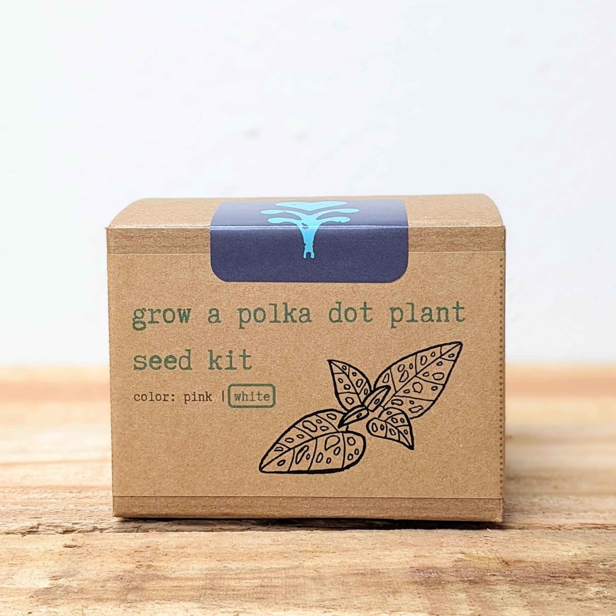 Grow a Polka Dot Seed Kit – photo 10