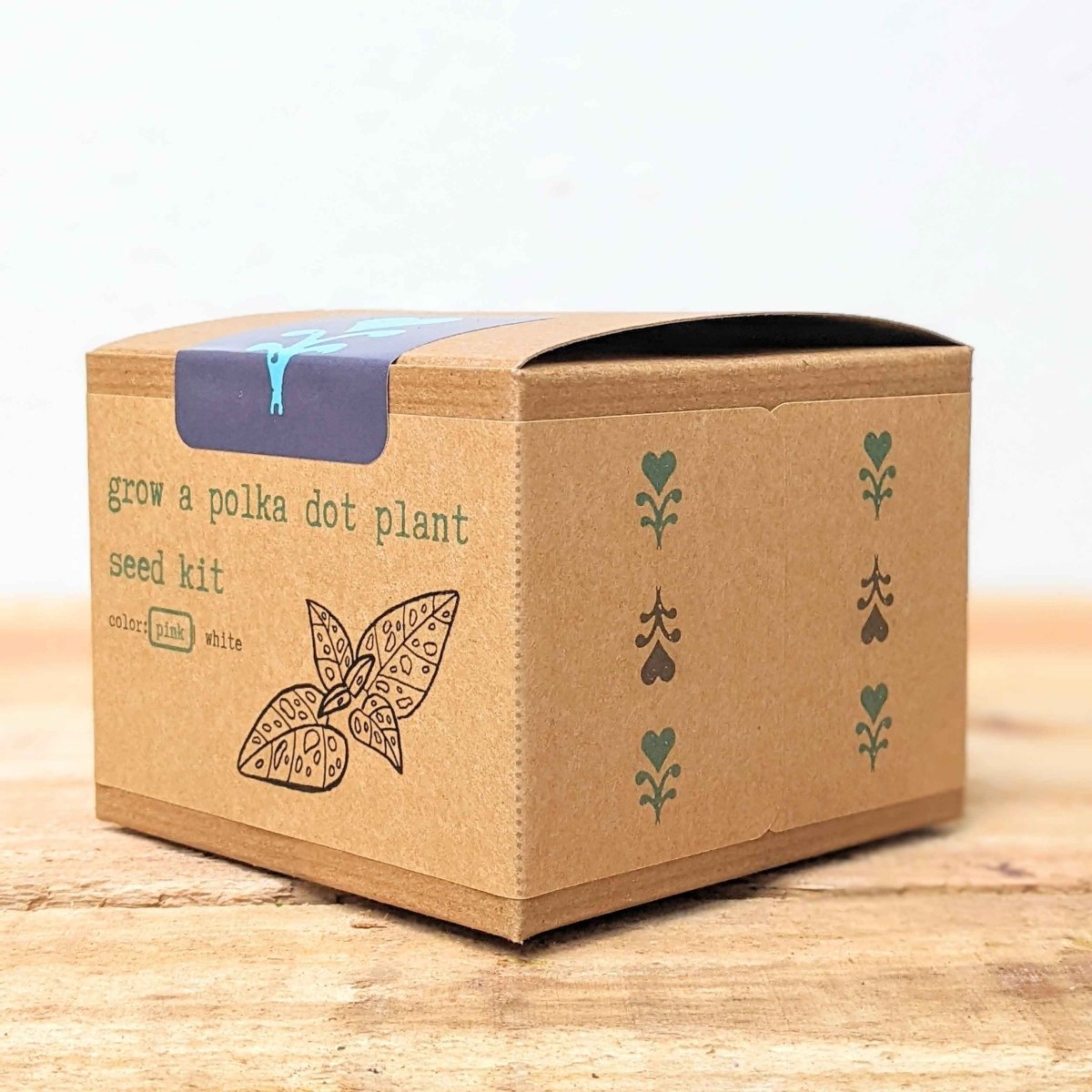 Grow a Polka Dot Seed Kit – photo 5