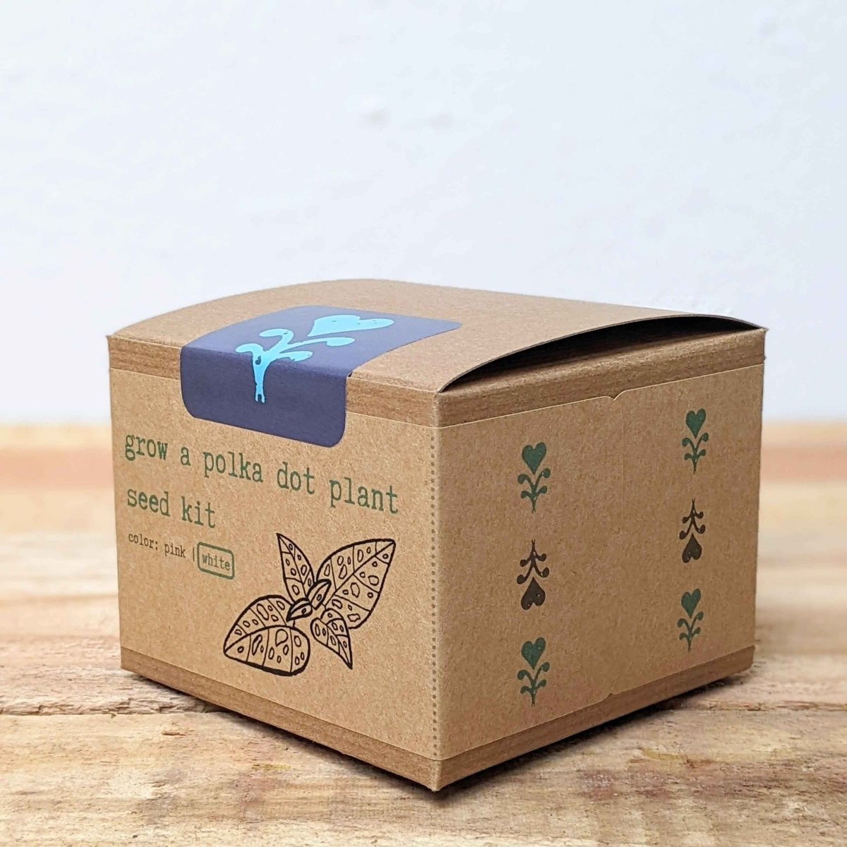 Grow a Polka Dot Seed Kit – photo 8