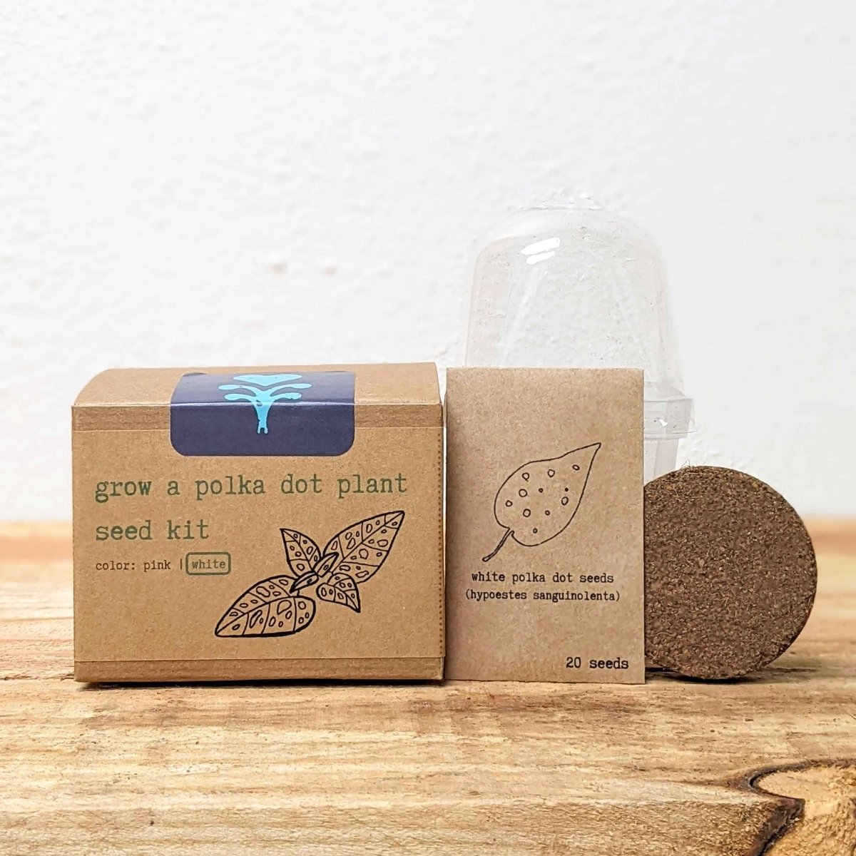 Grow a Polka Dot Seed Kit – photo 11