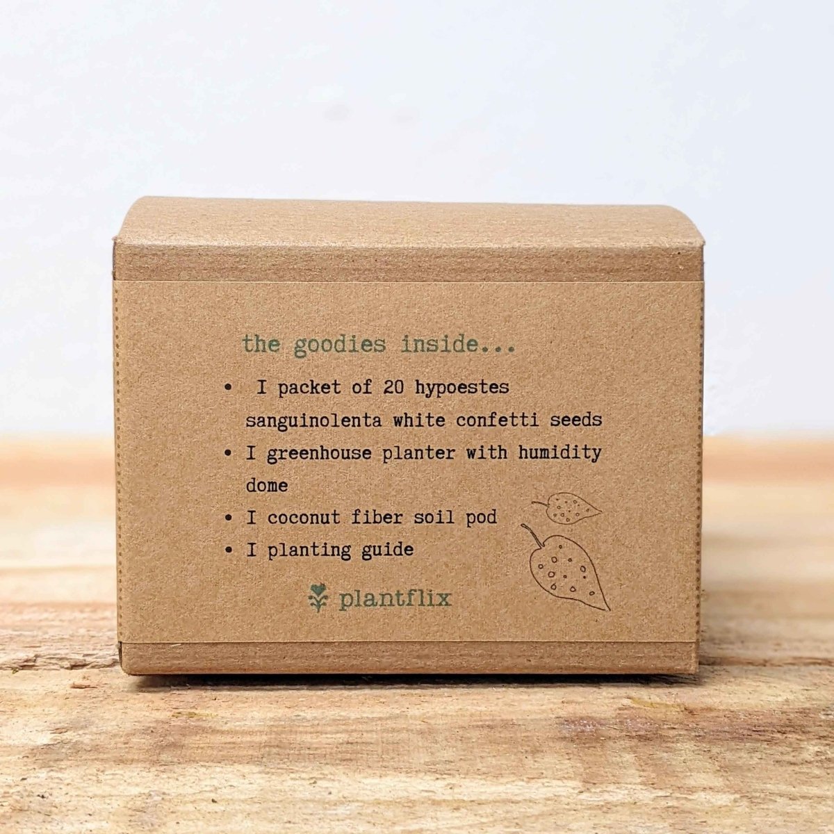 Grow a Polka Dot Seed Kit – photo 9