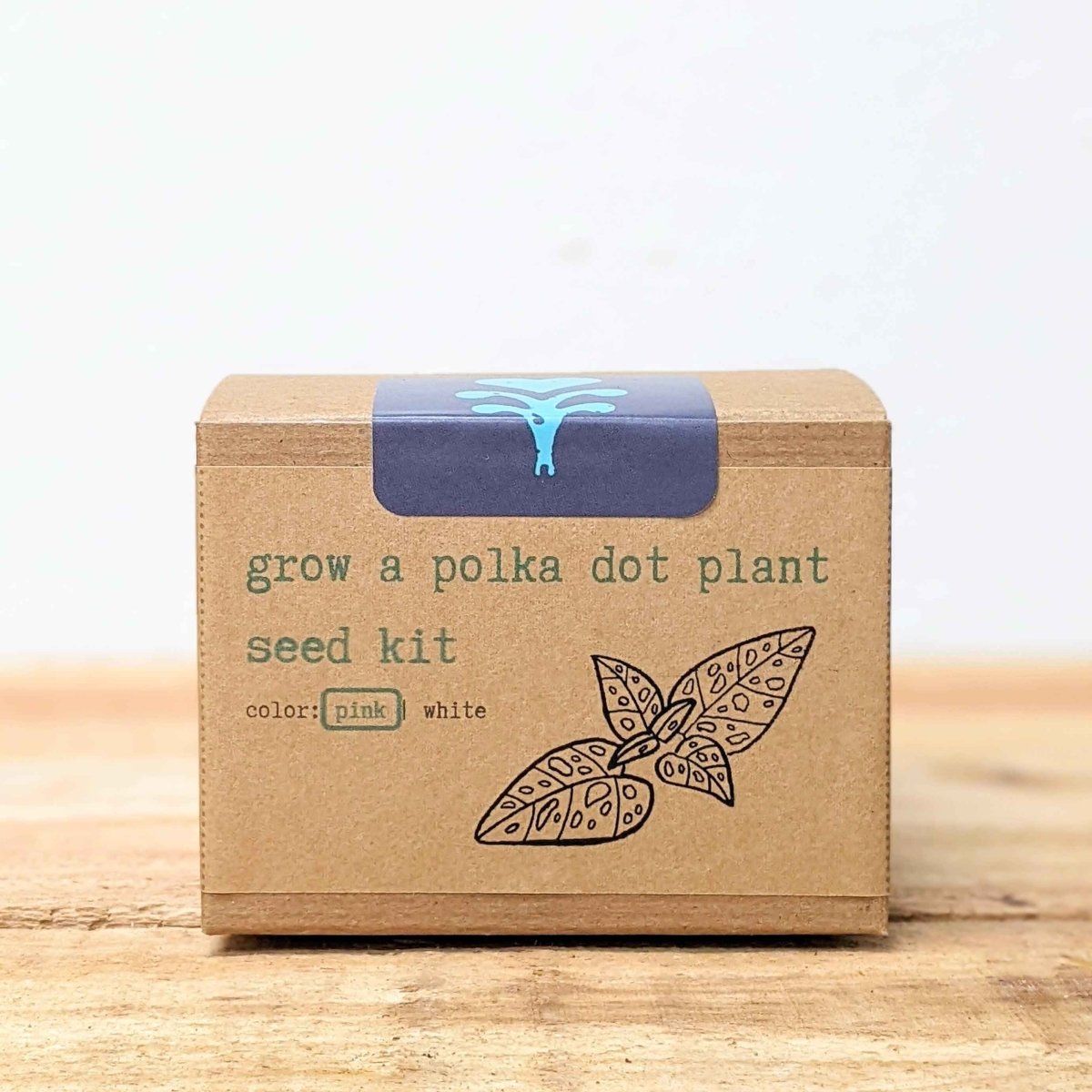 Grow a Polka Dot Seed Kit – photo 4