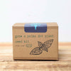 Grow a Polka Dot Seed Kit