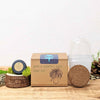 Grow a Ponytail Palm Seed Kit – photo 4