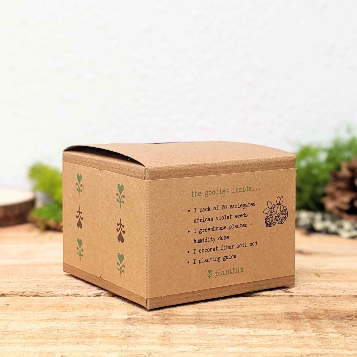 Grow an African Violet Seed Kit – photo 9