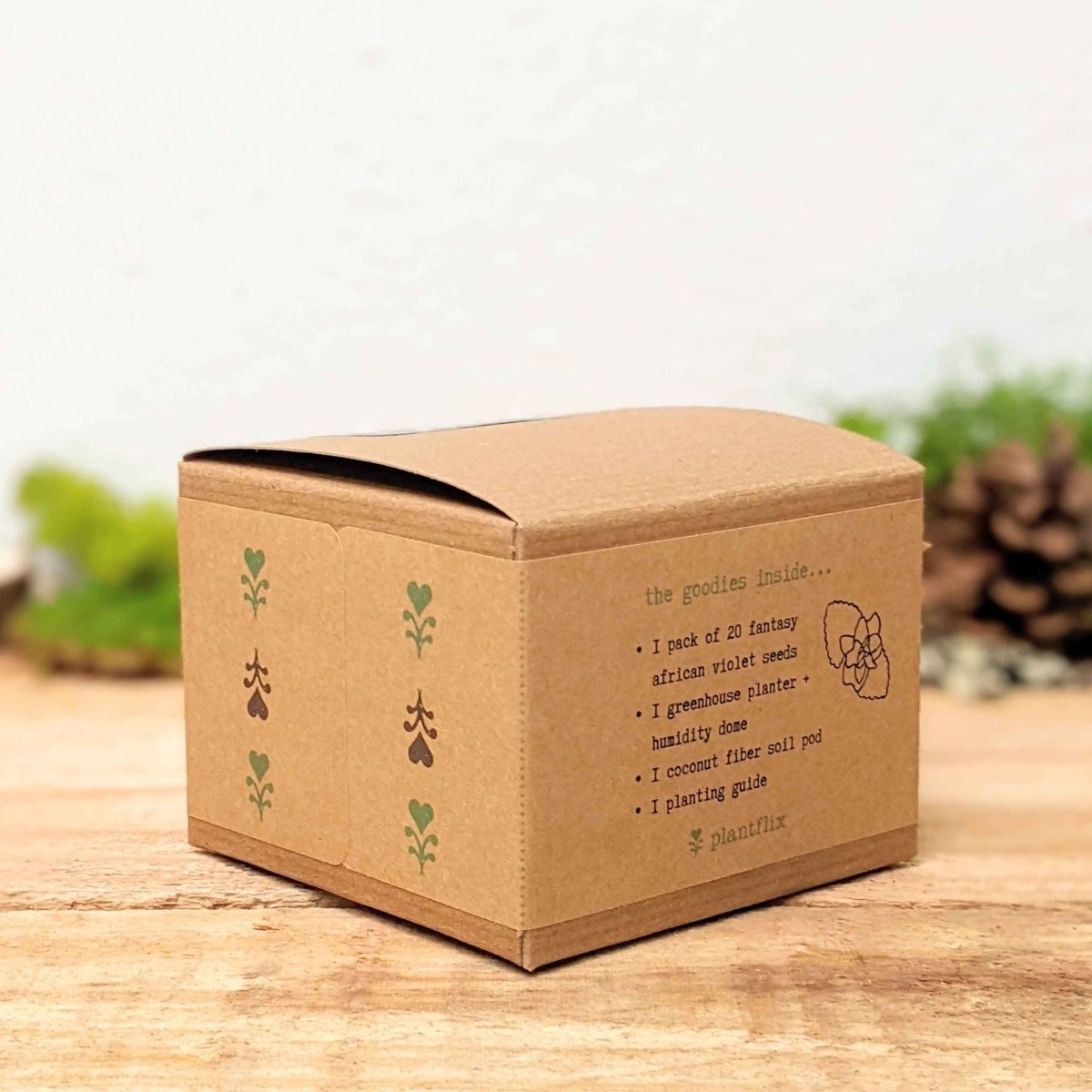 Grow an African Violet Seed Kit – photo 5