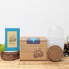 Grow an African Violet Seed Kit – photo 2