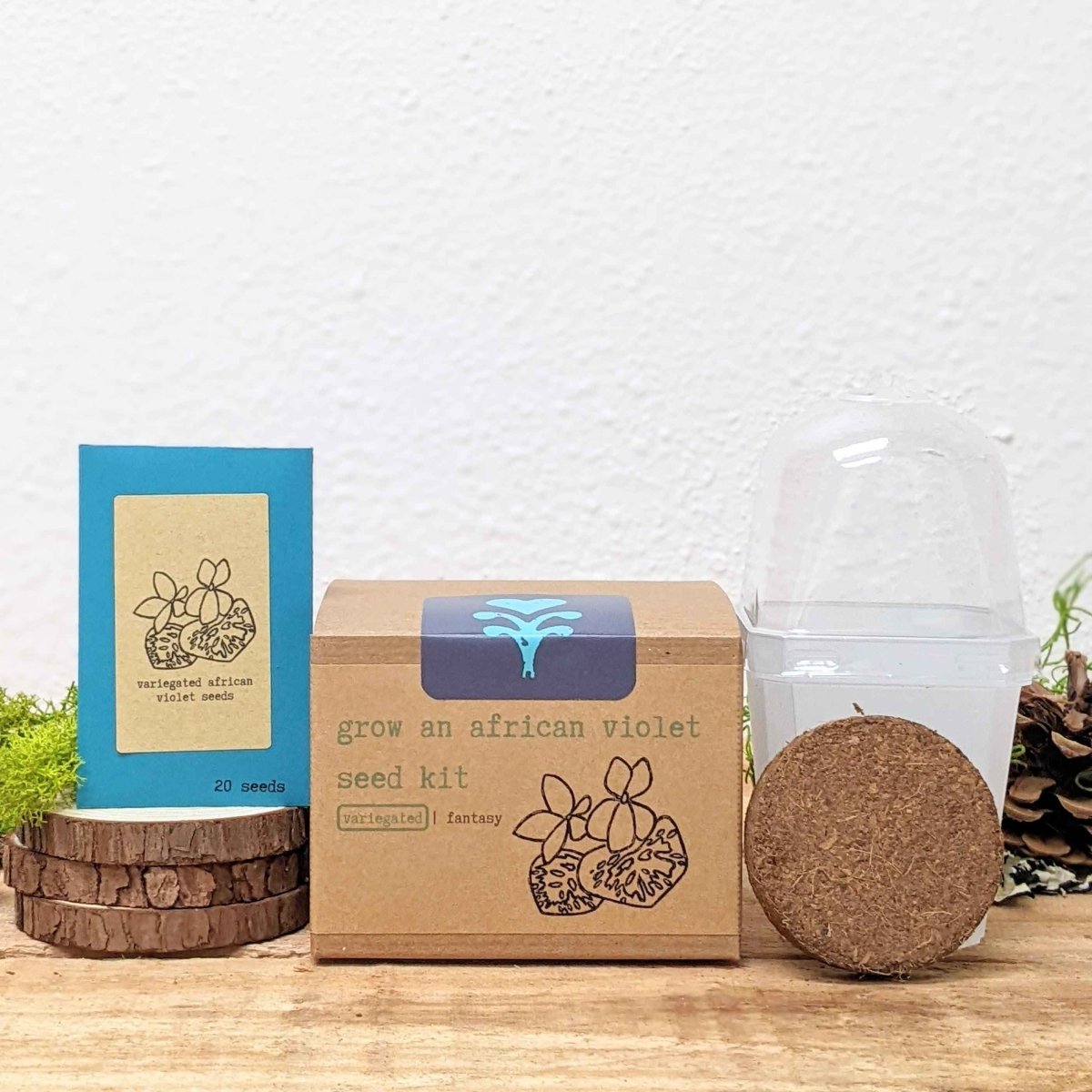 Grow an African Violet Seed Kit – photo 2
