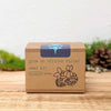 Grow an African Violet Seed Kit – photo 11