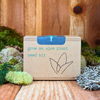 Grow an Aloe Plant Seed Kit – photo 3