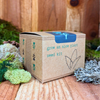 Grow an Aloe Plant Seed Kit – photo 4